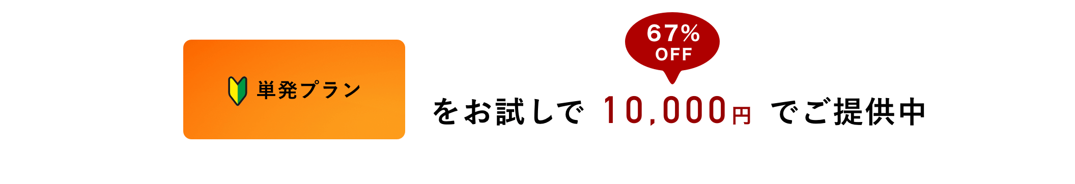 単発プランをお試しで10,000円でご提供中